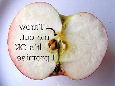 Hvordan til at vokse et æbletræ fra et frø. Gem nogle frø, når du spiser et æble eller bare købe nogle fra butikken.