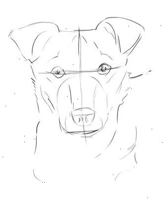 Sådan at tegne en hund ansigt. Tegn en cirkulær form og to floppy ører.