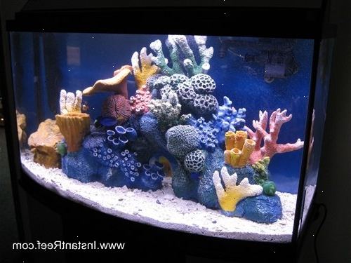 Hvordan at oprette en marine reef akvarium. Vælg det område af huset, hvor du vil have tanken at være.
