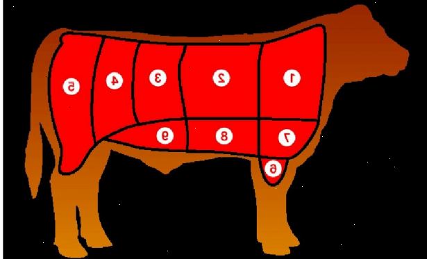 Sådan at forstå udskæringer af oksekød. Identificere de 8 vigtigste stykker, hvor oksekød er til rådighed.