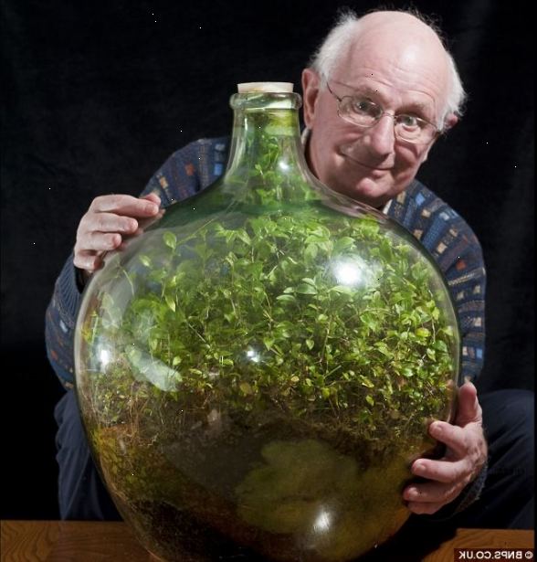 Hvordan man dyrker en have i en flaske. Vend flasken på dens side.