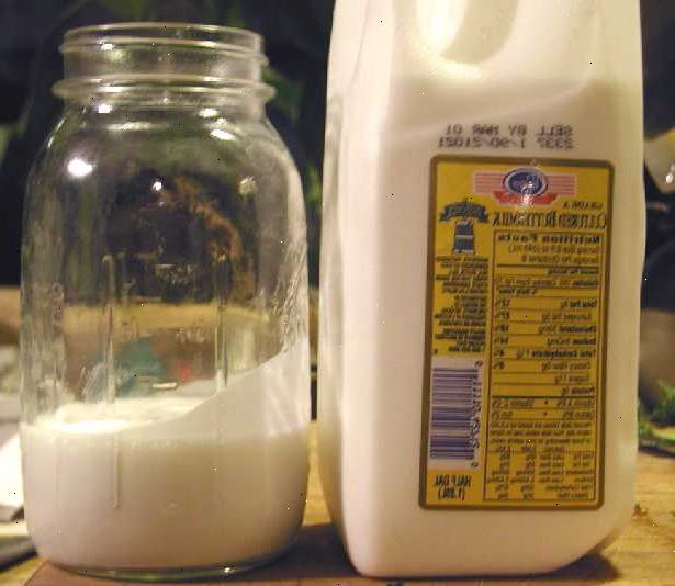 Hvordan laver kulturperler kærnemælk. Tilføj en bakteriel starter 6 til 8 ounces aktiv frisk dyrkede kærnemælk til en ren kvart krukke.