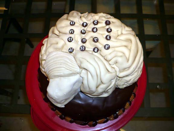Hvordan til at gøre en anatomisk korrekt hjerne kage. Vælg en illustration, som dit mønster.