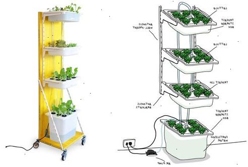Hvordan til at bygge en hydroponiske haven. Beslut hvad du ønsker at vokse.
