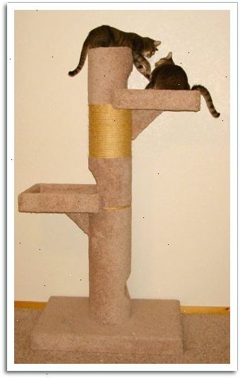 Hvordan man laver en kat kradsetræ. Beslut på målingerne af post før du begynder.