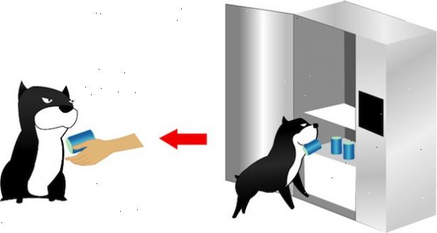 Sådan at lære din hund at få en øl. Bind et reb eller et håndklæde til at døren til dit køleskab.