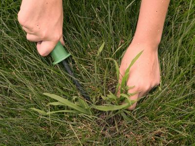 Hvordan at slippe af crabgrass. Når du bruger herbicider, skal du sørge for at læse etiketten grundigt.