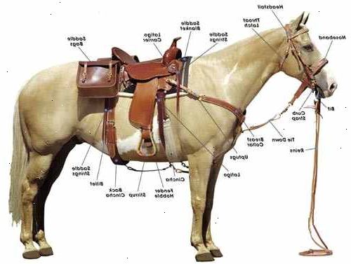 Sådan tack op en hest. Bind din hest med kors bånd, eller hvis du er nødt til, på en hitching indlæg.