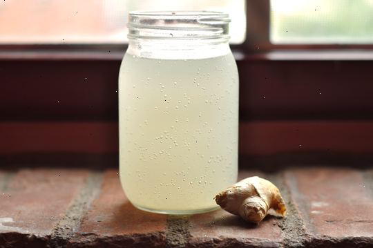 Hvordan laver ginger ale. Tilsæt 1 kop sukker til en flaske gennem en tør tragt.