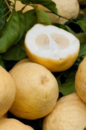 Sådan bruger citrusfrugter peels i hjemmet og haven. Her er nogle gode ideer til at få dig i gang.