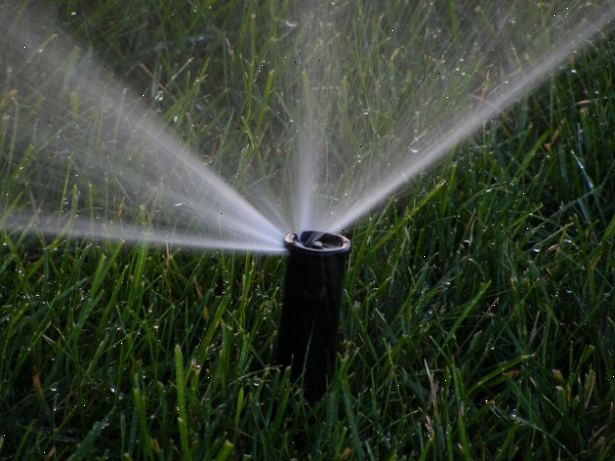Hvordan til at vande din græsplæne effektivt. Vand kun, når dit græs har brug for det.