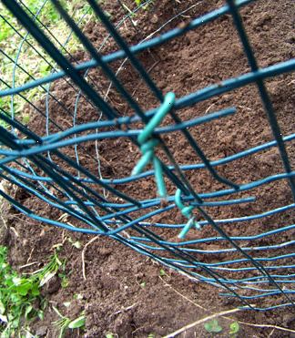 Hvordan man dyrker kartofler i en wire bur. Tag et stykke wire bestand hegn eller lignende robust trådhegn.