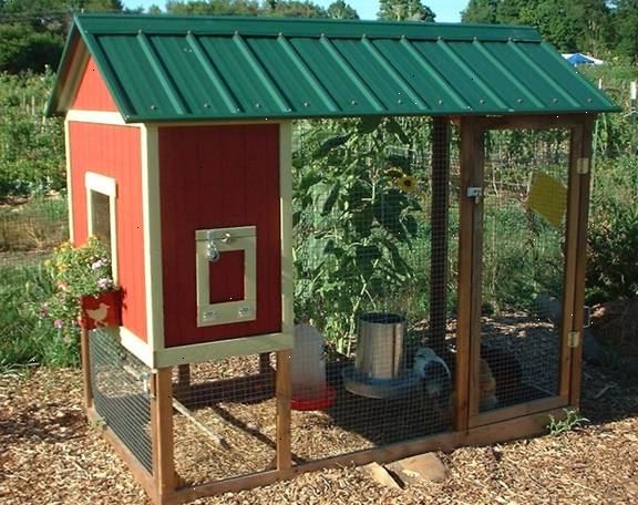 Hvordan man opbygger en hønsegården. Byg rammen for udendørs pen.