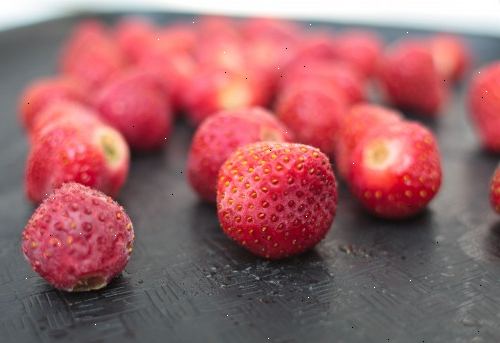 Sådan fryse jordbær. Forstå processen i at fryse jordbær, før du vælger en metode.