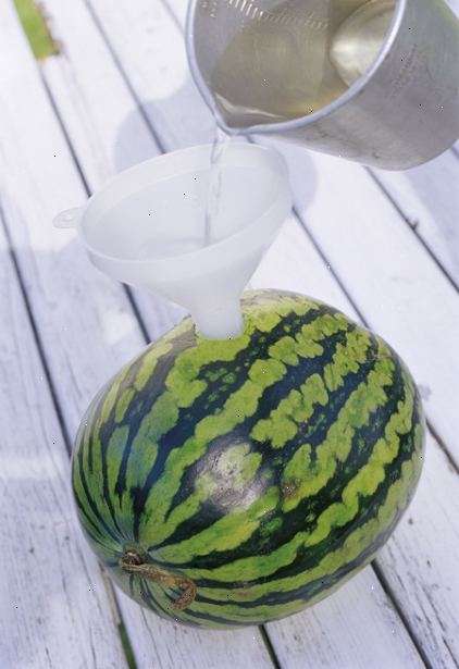 Sådan laver du en vodka vandmelon. Opnå de nødvendige forsyninger.