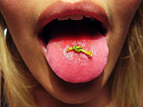 Hvordan man binder en knude på et kirsebær stilk med tungen. Vælg en passende stilk.